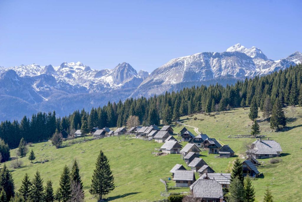 Panorama dell'altopiano di Pokljuka, Slovenia