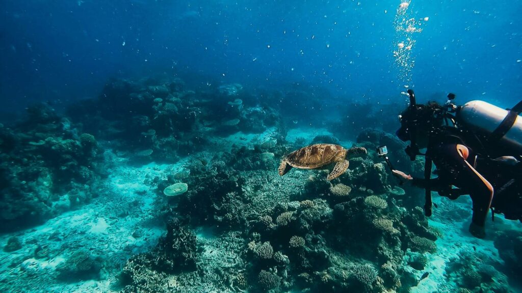 Cairns, barriera corallina, Australia- Viaggio sostenibile in Australia